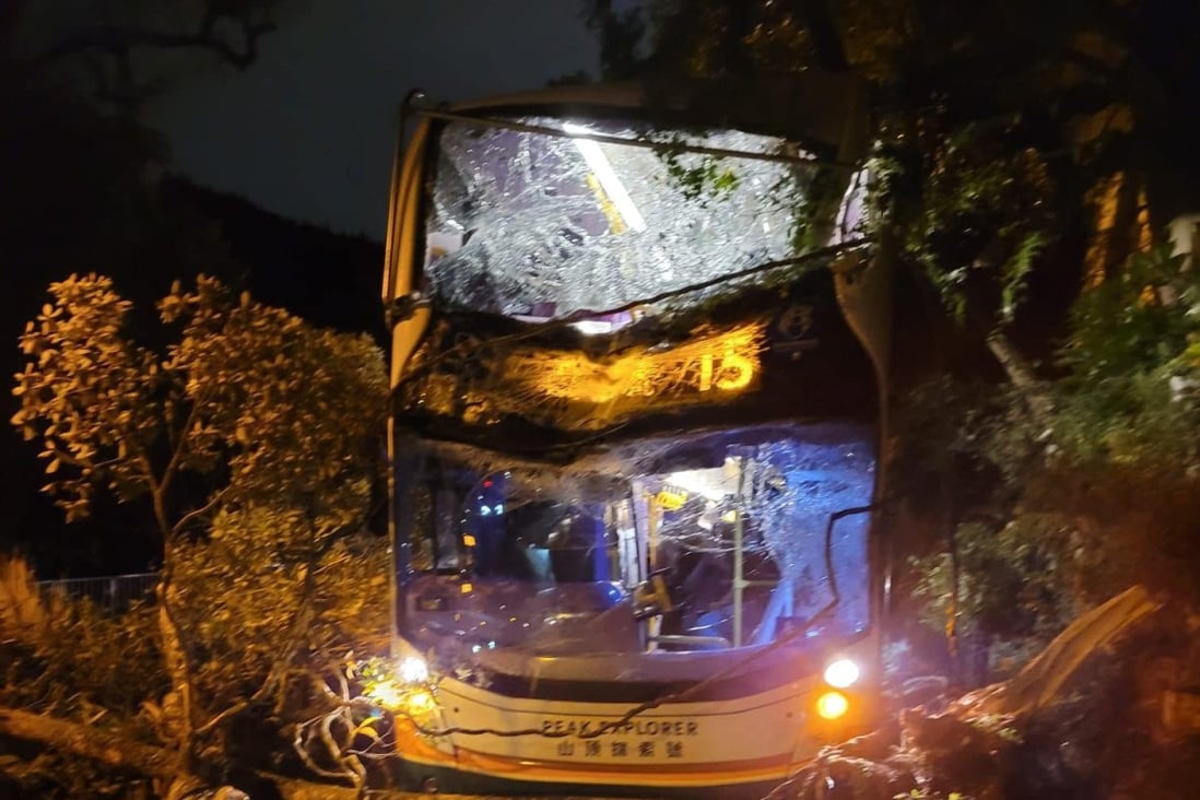 The bus was hit by a falling tree on The Peak as the city felt the effects of Typhoon Nesat. Photo: Facebook