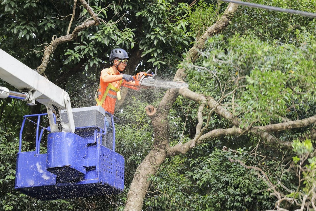 Workers remove trees that could pose a safety risk to residents at Ng Tung Chai village in Tai Po on Saturday. Photo: Jelly Tse