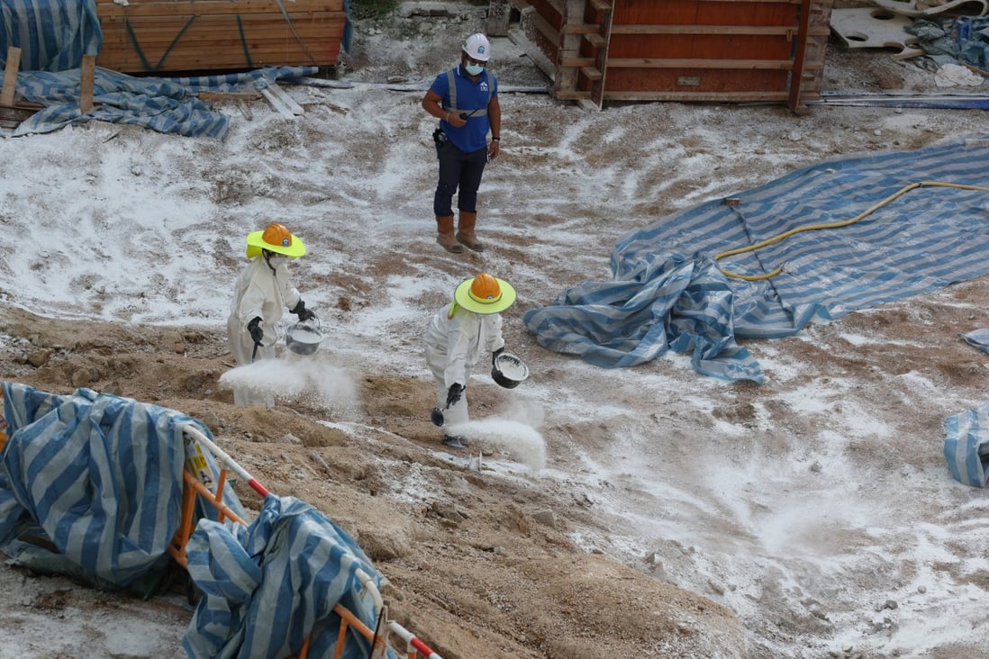 Workers spray disinfectant at a redevelopment site in Pak Tin Estate, Sham Shui Po, where four soil samples tested positive for melioidosis. Photo: Yik Yeung-man