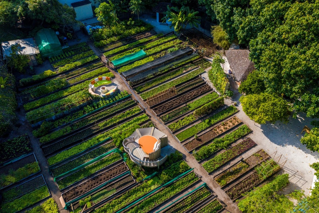 What Is Garden To Plate And Why Do Fine Dining Chefs Love It Michelin