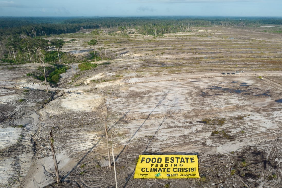 To protest the clearing of customary land in Kalimantan or Indonesian Borneo to make way for “food estates” or industrial agriculture programmes, climate activists in Indonesia unfurled a massive banner at Gunung Mas in Central Kalimantan that read “Food Estate Feeding Climate Crisis”. Photo: Greenpeace