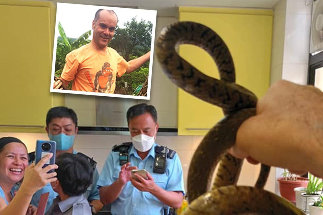 ‘Crazy catches’ venomous vipers in quarantine centre to baby cobra