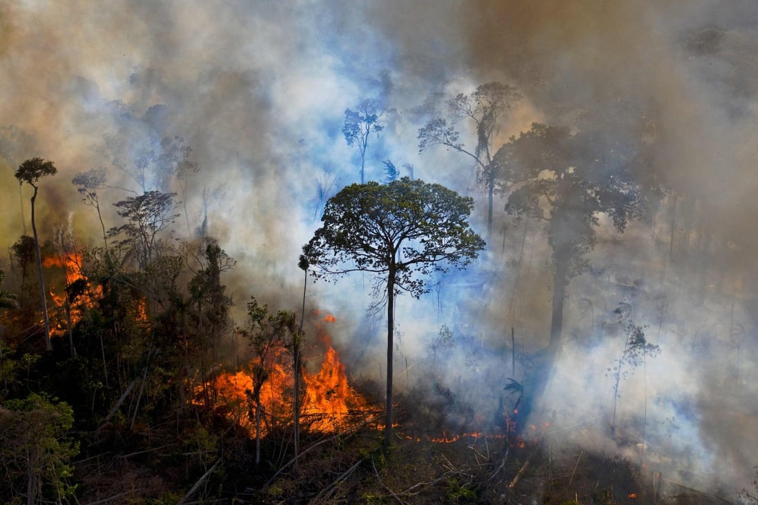 Smoke rises from an illegally lit fire in Brazil’s Amazon rainforest. Photo: AFP