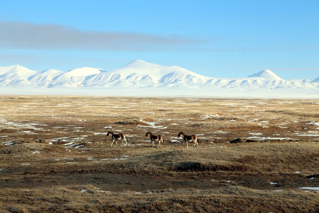 Some 15 million years ago, the Tibetan Plateau reached an elevation similar to what it is today. Photo: China News Service