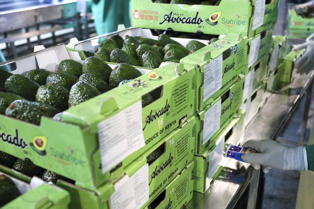 Fresh avocados from Kenya wait to be transported to the Chinese market. Photo: Xinhua