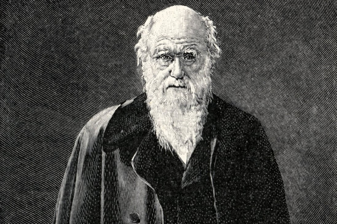 An engraving depicting English naturalist Charles Darwin. Photo: Getty Images