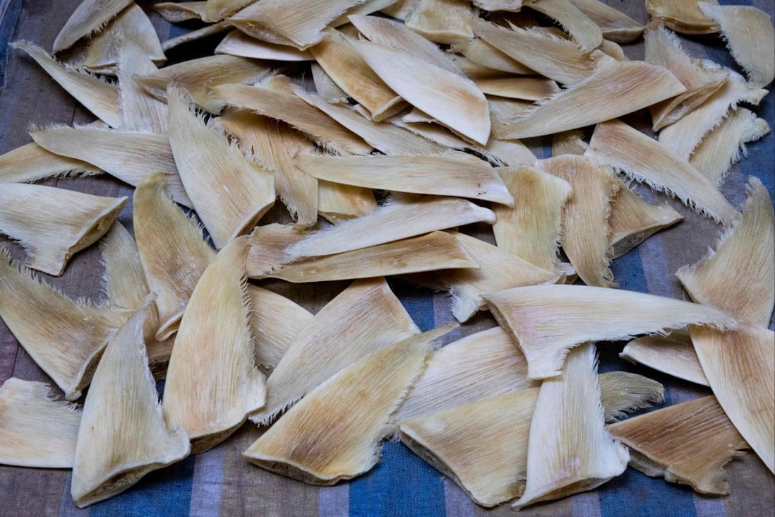 US poised to ban lucrative shark fin trade South China Morning Post