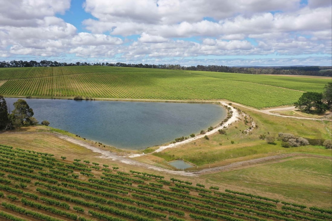 An undated view of the Edinger Estate vineyard in Western Australia. Photo: Handout