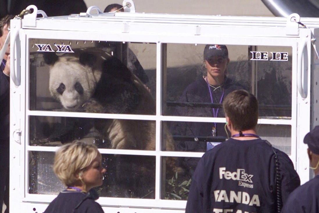 Two-year-old female panda Ya Ya arrives in Memphis, Tennessee on loan from Beijing, China in 2003. Ya Ya and another panda, Le Le, are being returned to China. Photo: Reuters