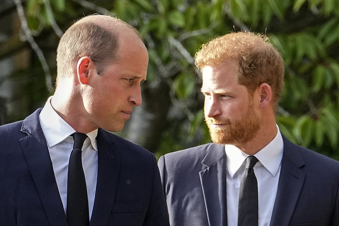 Prince William and Prince Harry have a tumultuous relationship. File photo: AP