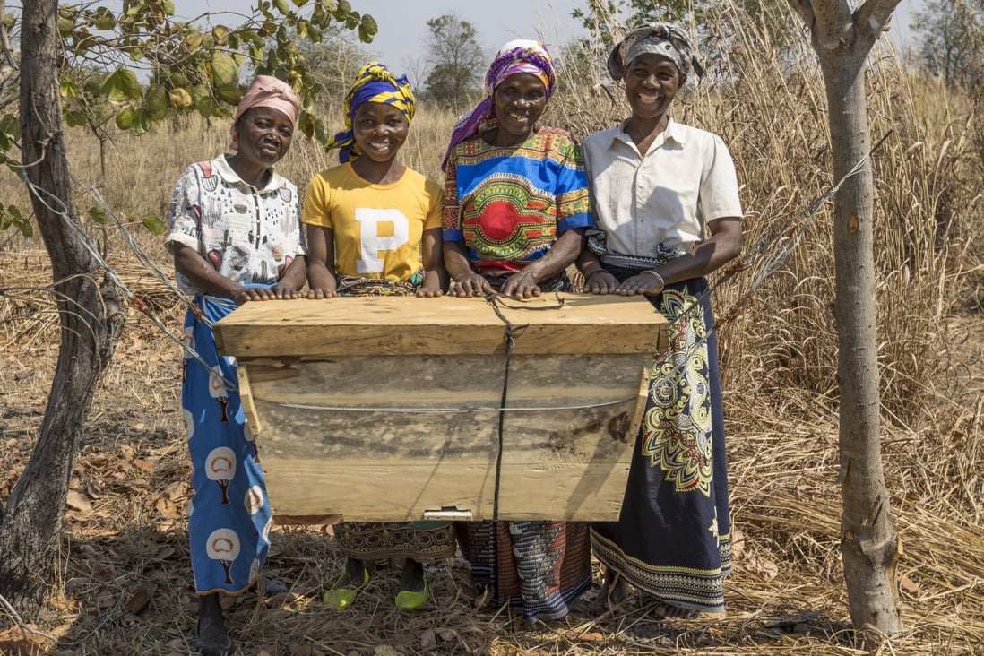 National park in Malawi, southern Africa, sets benchmark for reducing  human-animal conflict and restoring habitat for wildlife, and safari  tourism grows | South China Morning Post