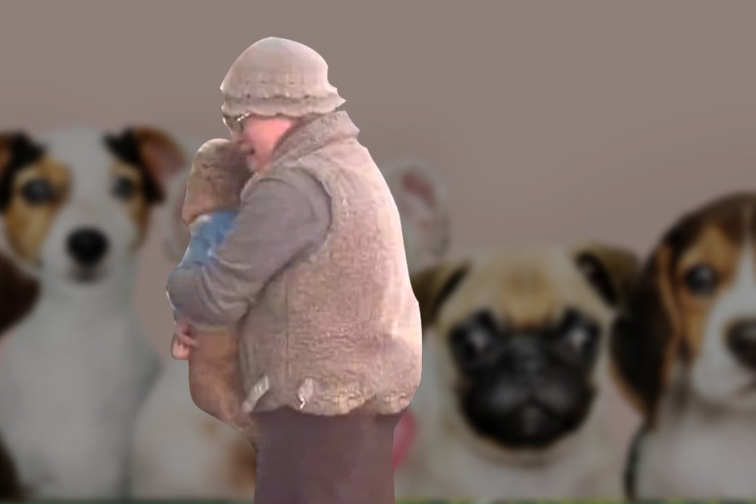Pet passion: 50 million express animal emotions online after dogged detective tracks down lost canine sparking tearful reunion with Chinese owner | South China Morning Post Pet passion: 50 million express animal emotions online after dogged detective tracks down lost canine sparking tearful reunion with Chinese owner | South China Morning Post