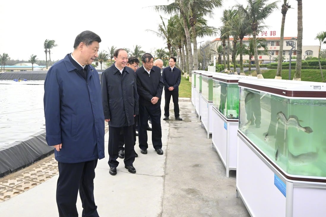 Chinese President Xi Jinping visited an aquaculture centre during his trip to Guangdong province. Photo: Xinhua