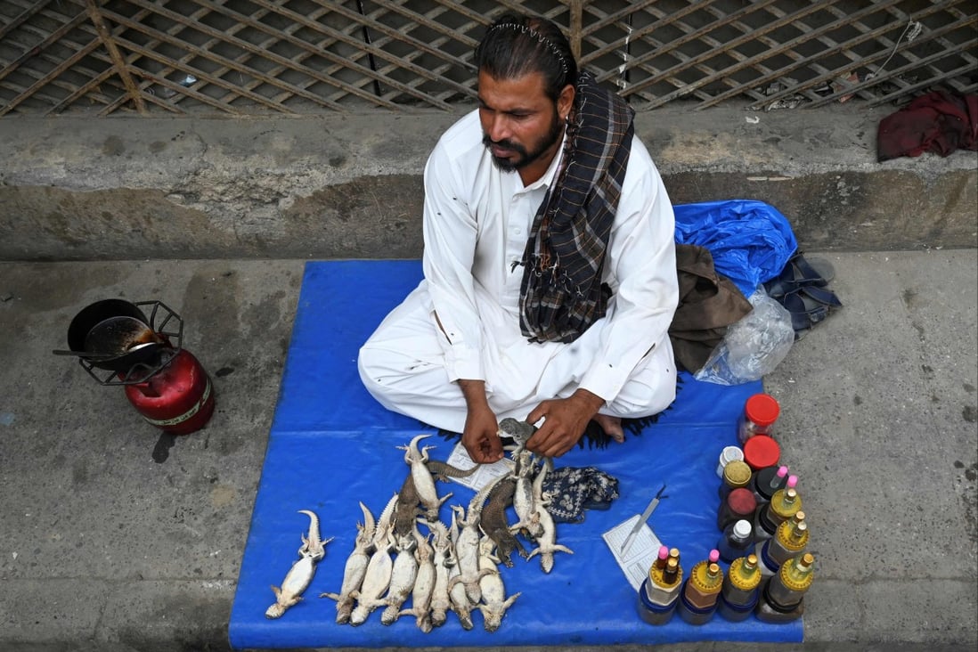 With Viagra banned, Pakistani men turn to lizard oil to make them ...