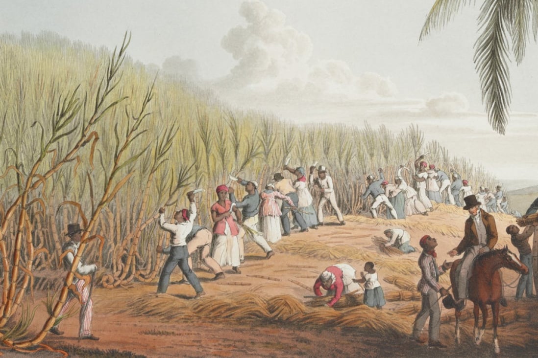 A painting by 19th century British artist William Clark shows slaves cutting sugar cane in Antigua, which Britain colonised in 1632. Credit: British Library