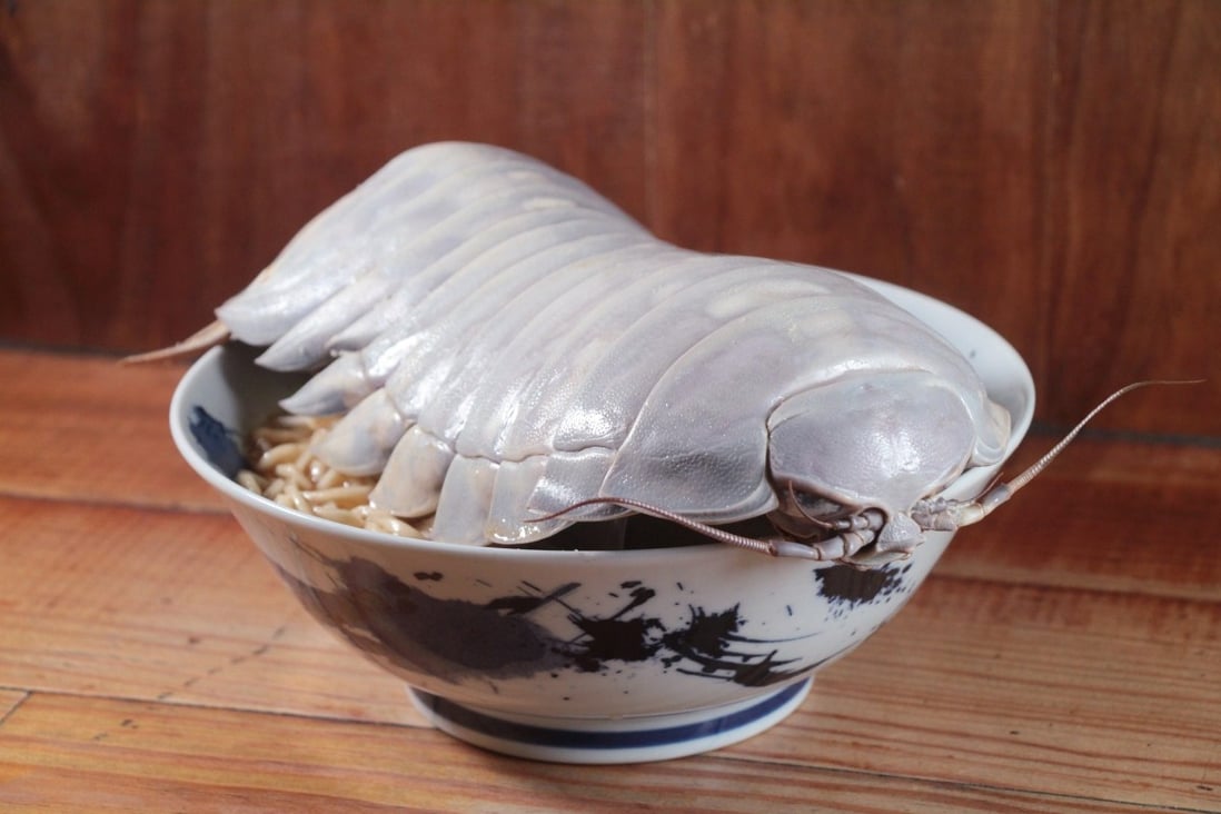 ‘Dream ingredient’ alienlike isopod ramen dish made with a 14legged