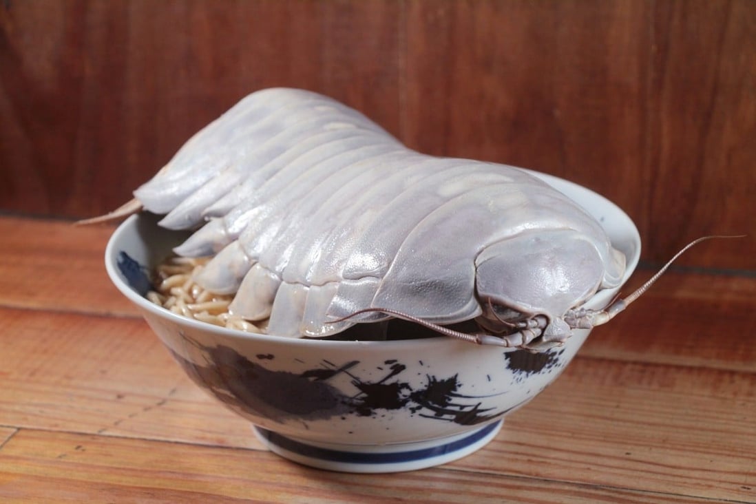‘Dream ingredient’: alien-like isopod ramen dish made with a 14-legged ...