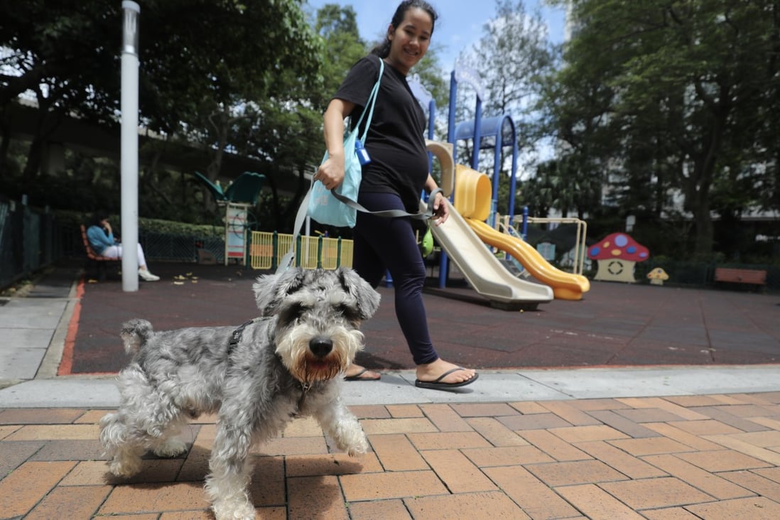 Is Hong Kong petfriendly? Owners new dog parks but want more