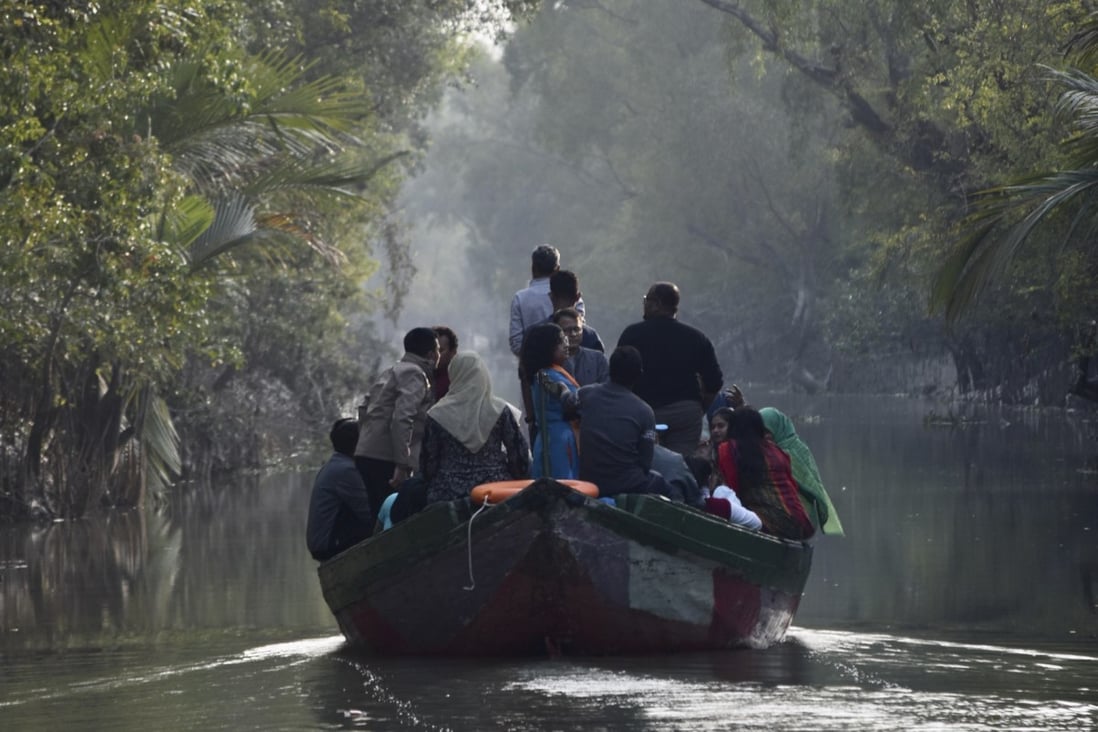 sundarban-forest