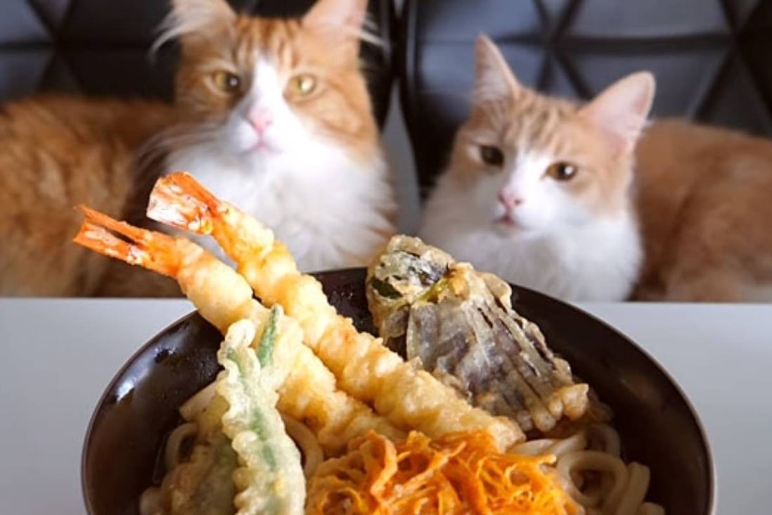 youtube channel junskitchen combines