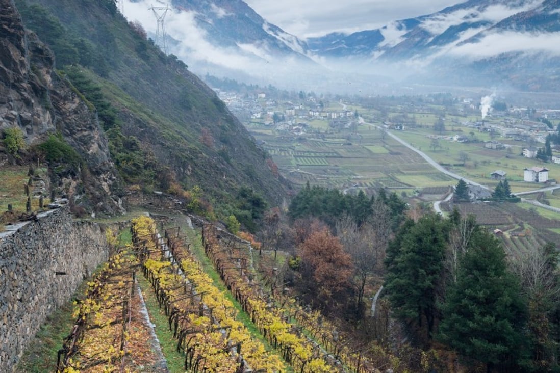 The ValléeValle d’Aosta DOC, which lies in the vicinity of Mont Blanc, is Italy’s smallest wine region, with Switzerland bordering on the north, Piedmont in the south and France in the west. Located in the foothills, and home to Cave Mont Blanc.