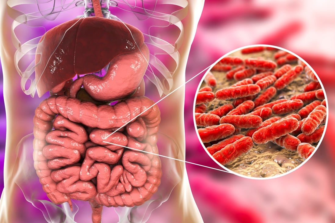The microbiome explained: how a vast army of gut bacteria regulates body's functioning | South China Morning Post