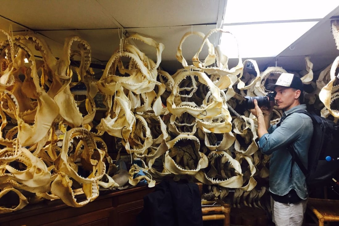 Rob Stewart photographs a collection of shark jaws in a sports fisherman’s home for his documentary Sharkwater Extinction.