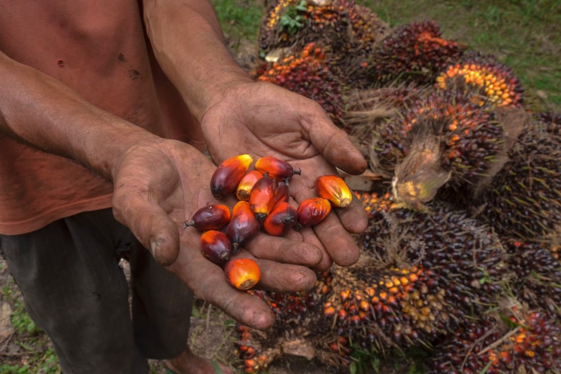 An Indonesian palm oil farmer with his product. Photo: AFP