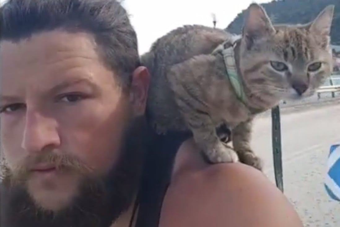 ‘She’s fearless’: Man bikes around the world with stray cat named Nala ...