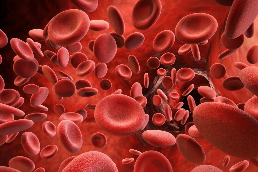 Red blood cells transport food and oxygen to every part of our bodies while helping cells clear waste. Photo: Alamy