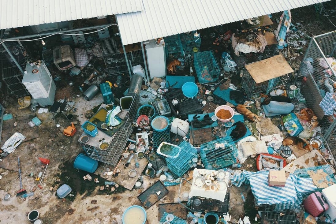 An aerial shot of Stray Wonderland animal shelter in Ta Kwu Ling. Photo: Hong Kong Animal Post