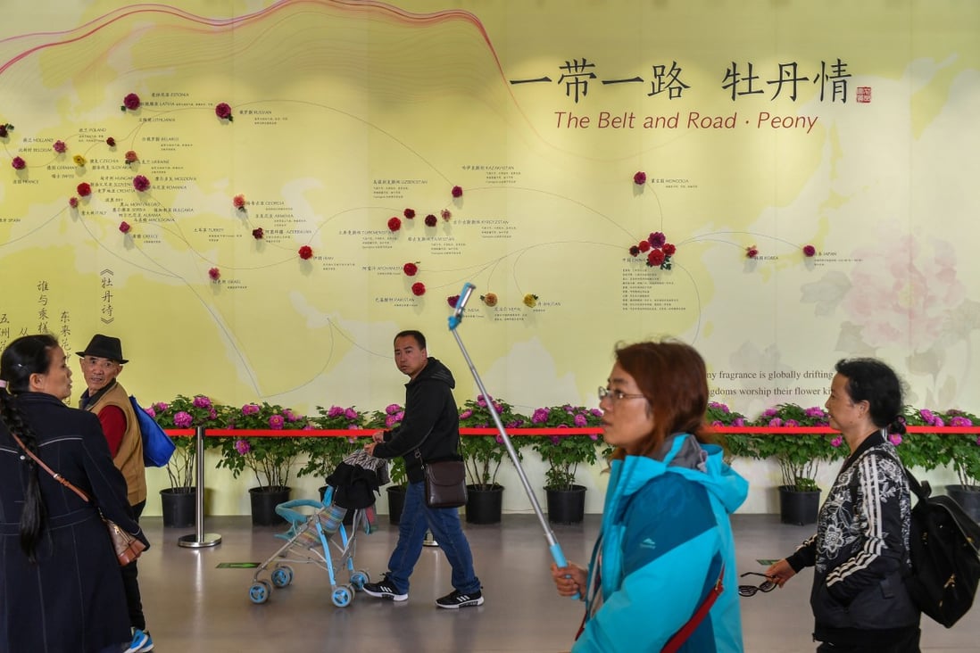 A peony-studded wall map of the belt and road countries is displayed at a horticultural exhibition at the Beijing Expo on April 29. Some analysts believe infrastructure is key to driving growth. Photo: Reuters