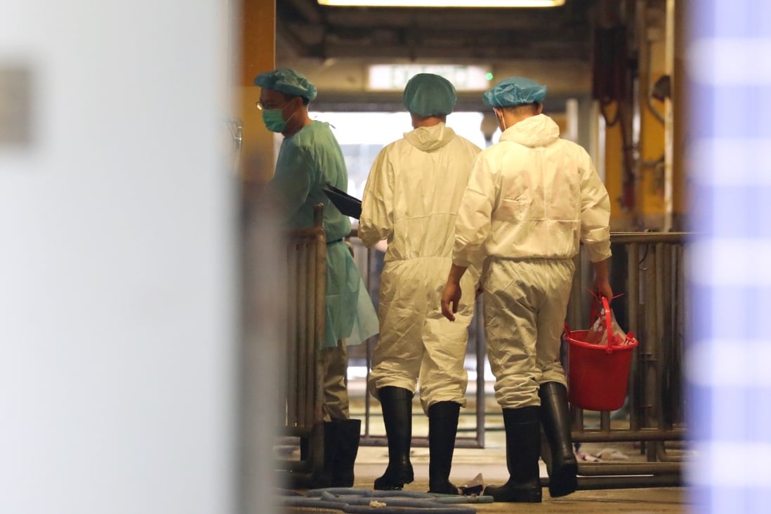 Staff inside Sheung Shui slaughterhouse ahead of the cull. Photo: Felix Wong