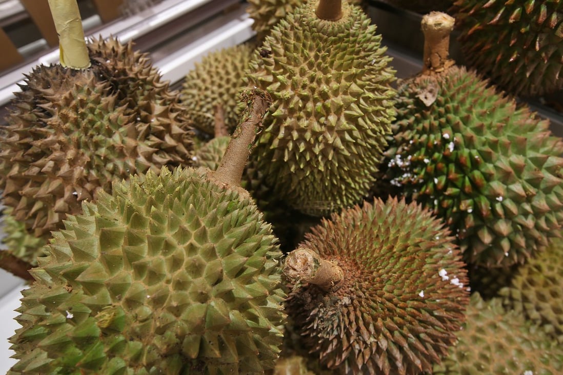 Durian’s extremely pungent – often reviled – odour means the fruit is often banned from hotels and public transport across Asia. Photo: SCMP Pictures