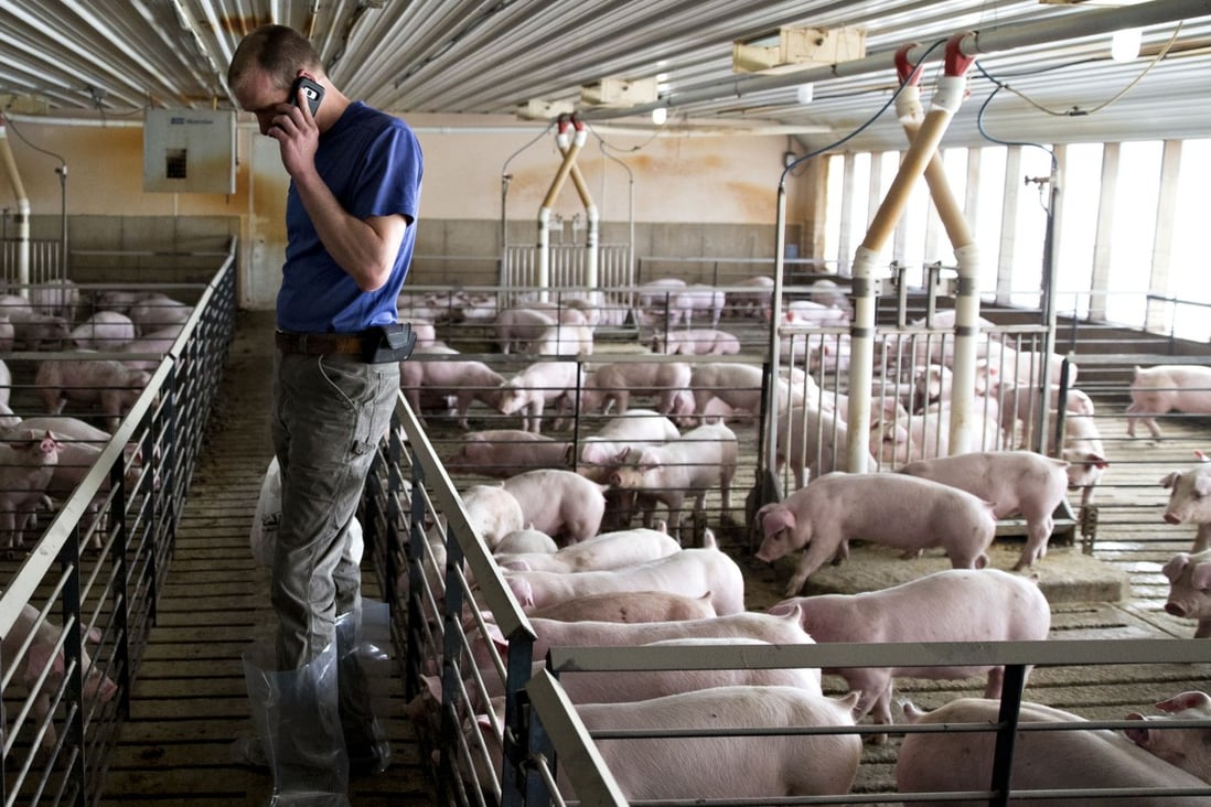 US pork producers say they are losing US$8 per animal because of the dispute with China. Photo: Bloomberg