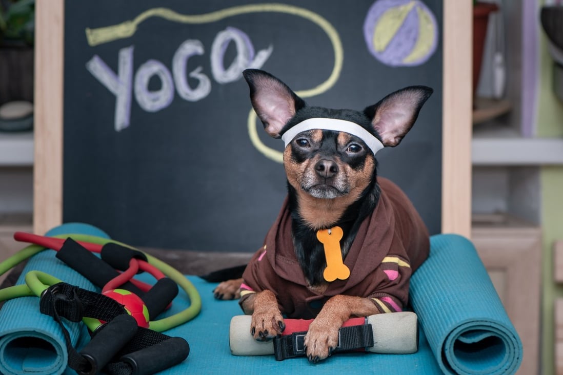 So, how many accessories do you really need for your yoga workout?