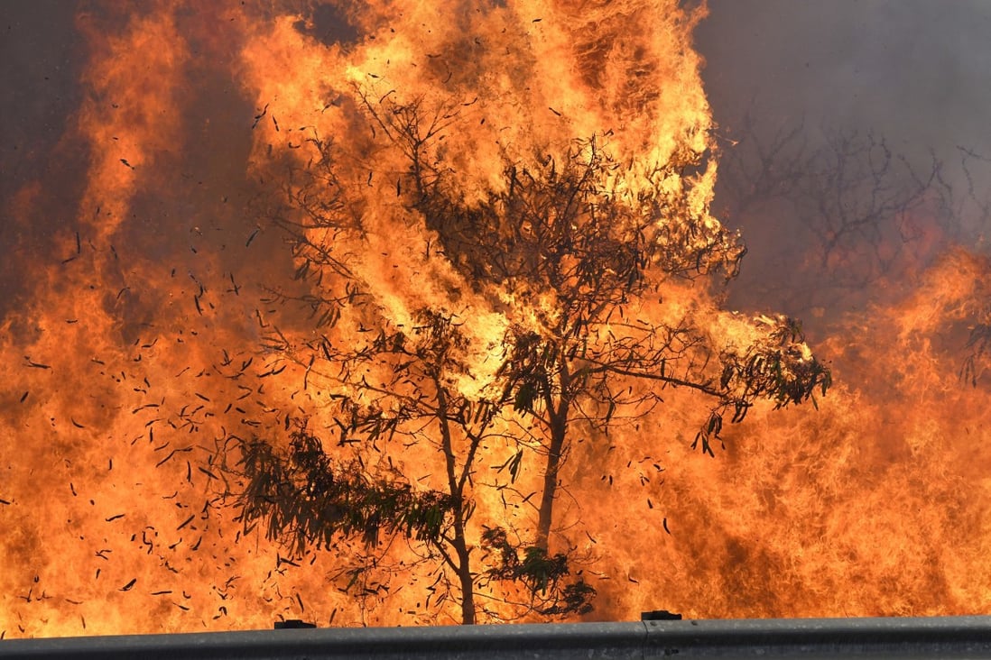 Hawaii’s governor declares state of emergency in Maui as wildfires