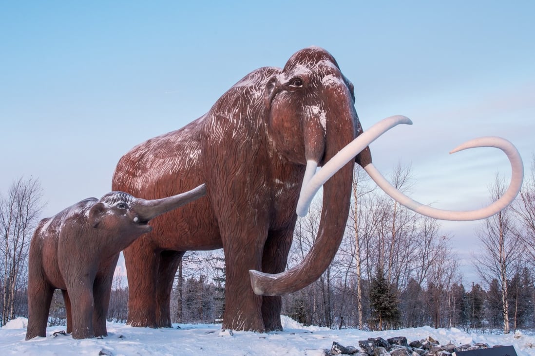 Woolly mammoths the Ice Age prize making small fortunes on the Chinese