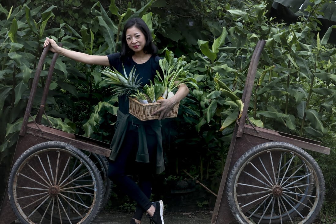Peggy Chan at Zen Organic Farm in Ta Kwu Ling, near Hong Kong’s border with China, where she picks ingredients for use at her new fine-dining restaurant Nectar. Photo: Jonathan Wong