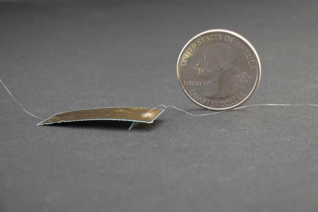 A prototype soft robot, which is about the size of a postage stamp, was developed by a group of researchers from China and the US. Its design was inspired by the capabilities of the hardy cockroach. Photo: Handout