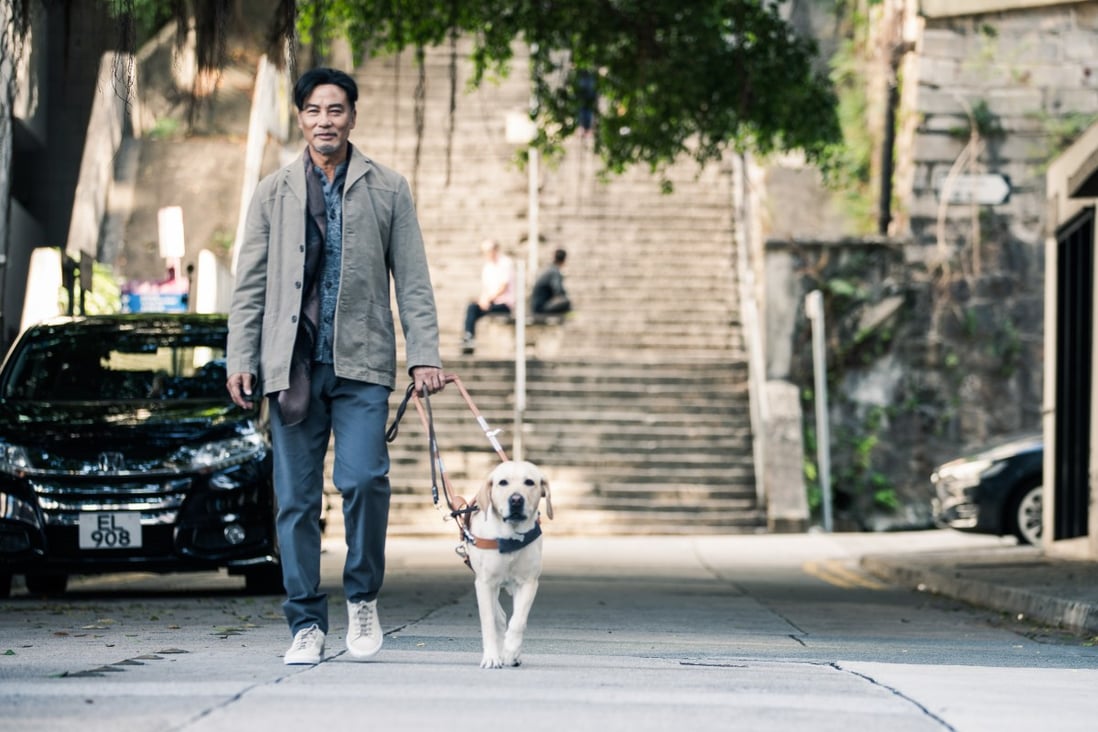 Little Q Film Review Simon Yam Shares The Limelight In Guide Dog Drama Based On Japanese Hit South China Morning Post