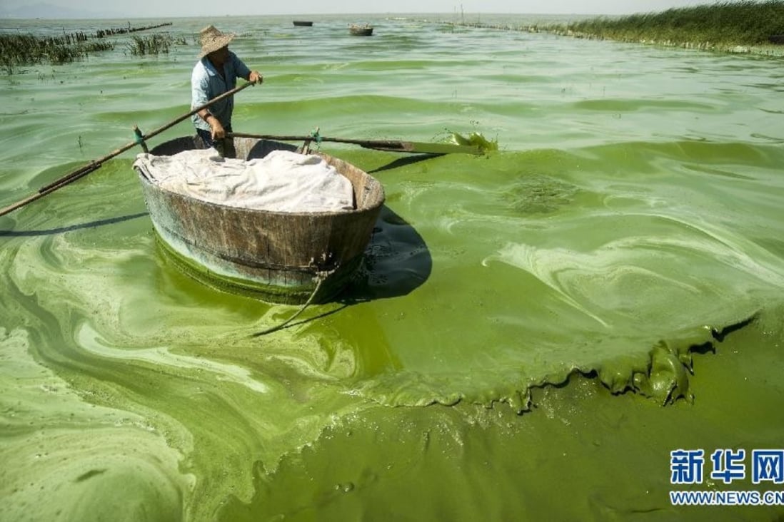 Lake Chao, where algae outbreaks poison fish and contaminate drinking water. Photo: Sohu