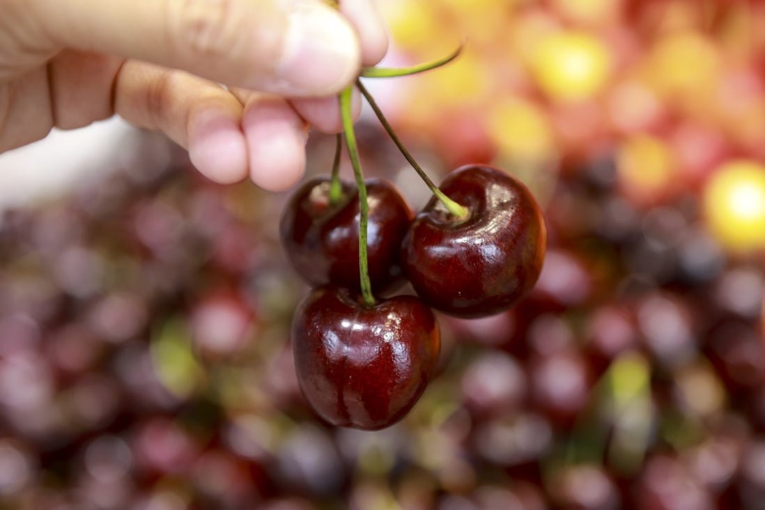 Cherries from the United States. Photo: May Tse
