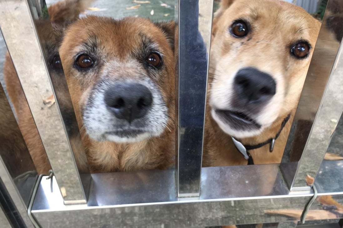 As Hong Kong’s last villages bow to development, what happens to their