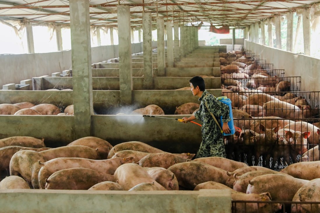 Across China, pork prices have doubled since July, reaching record highs of 30 yuan (US$4.20) to 33 yuan per kilogram, surpassing analyst expectations. Photo: Reuters
