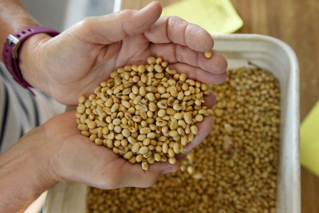 China’s announcement that it will drop tariffs on US soybeans has been followed by a visit to soybean farms from Liao Min, the man leading the Beijing advance team preparing for the US-China trade talks in October. Photo: Reuters
