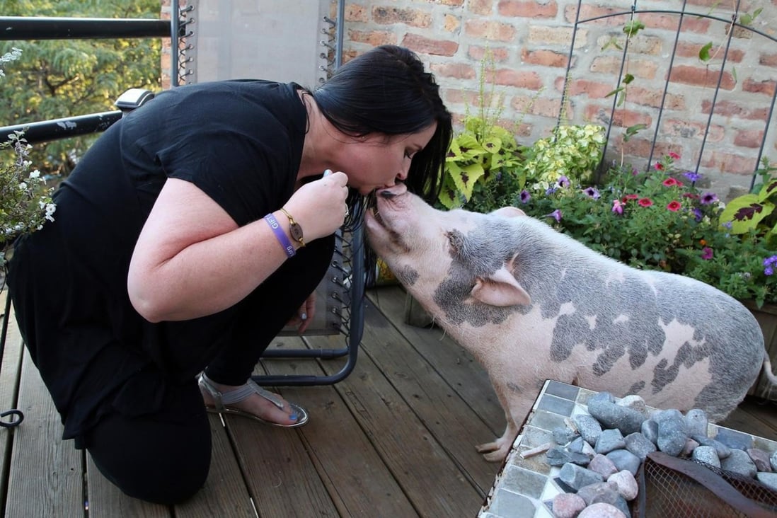 The Millennial Pet Owners Who Get Into Debt Keeping Their Animal Companions Healthy South China Morning Post