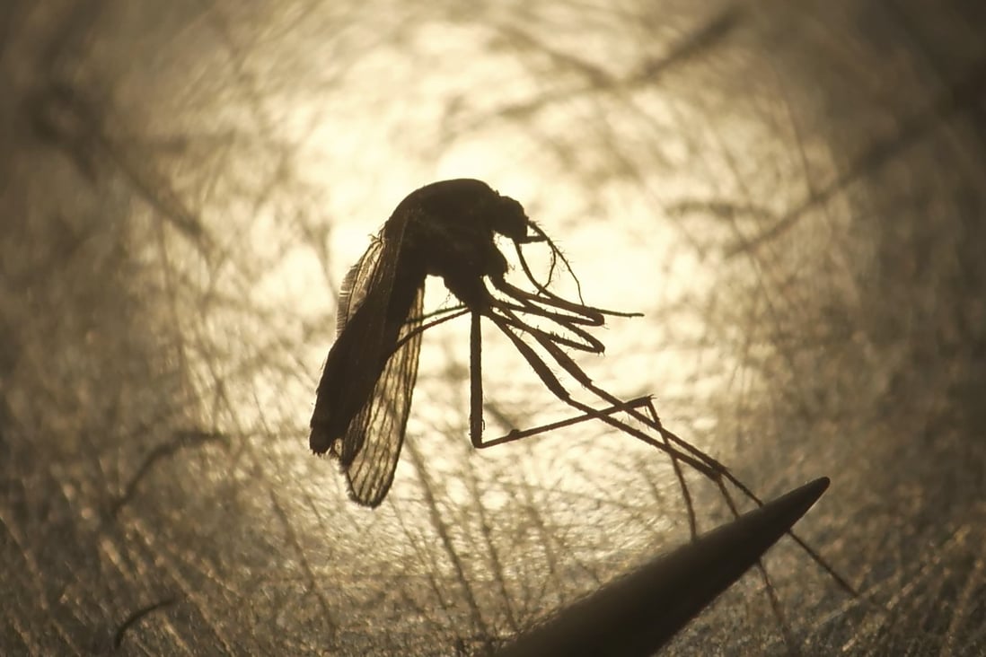 Warmer weather affects mosquito breeding, which may lead to an increase in some deadly diseases.