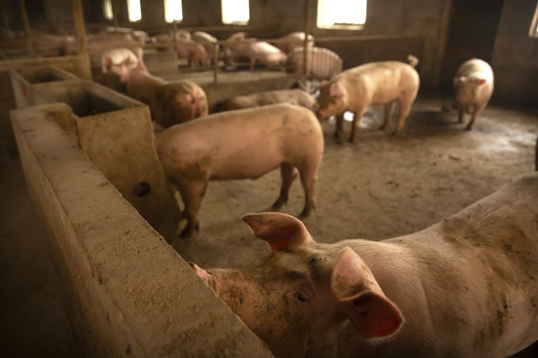 Chinese local governments have been urged to boost pork production, with prices reaching record levels. Photo: AP