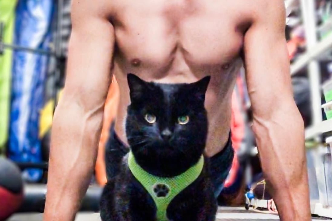 south china morning post